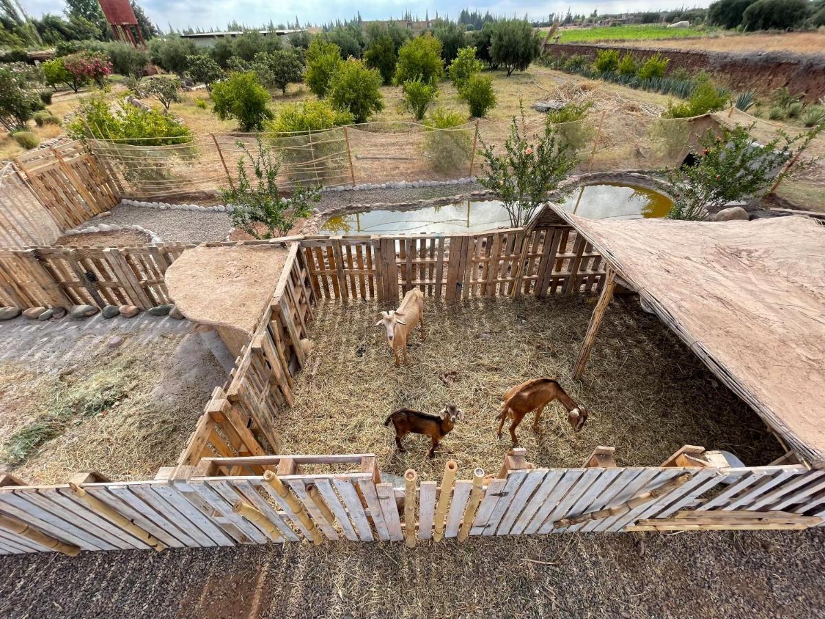 Hotel Jnan Lotf Marrakech El Harkat Exterior foto